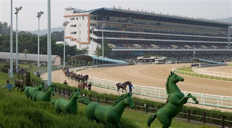 seoul horse racing tips|A Guide To Seoul Racecourse In Korea .